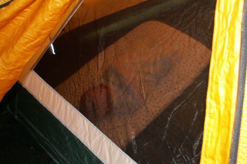 Napping like a burrito in the tent.