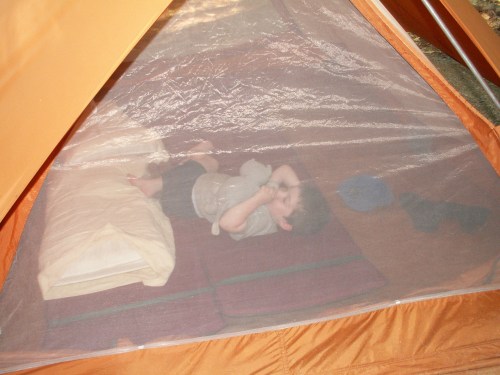 ET napping in the tent.