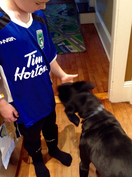 This licking session was actually pre-soccer peanut butter.